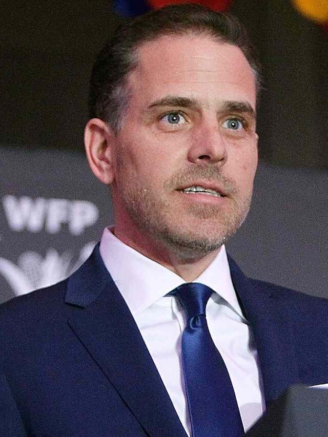 Hunter Biden pleads guilty