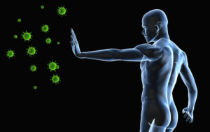 The Science Behind a Strong Immune System